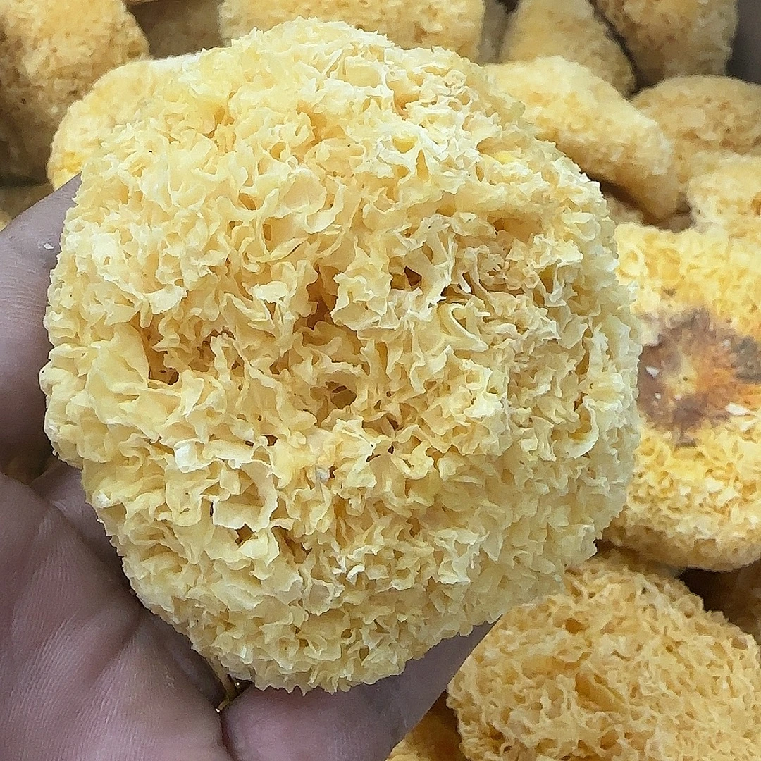 【前记精选】密花银耳 煲糖水250~500g