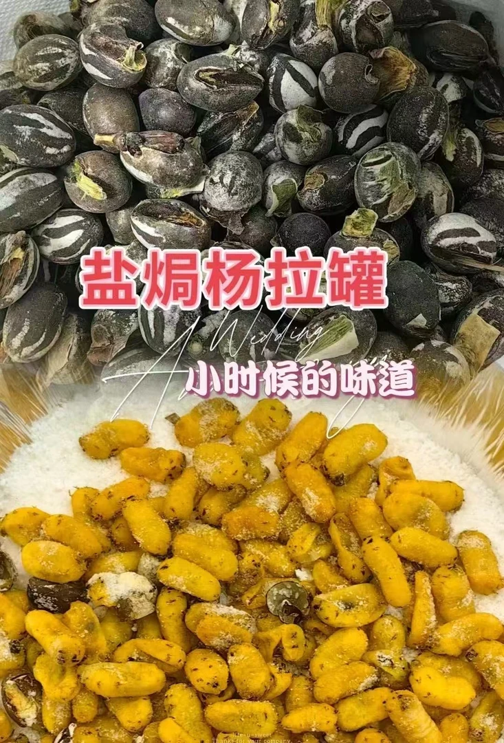 2025新货杨拉罐坦克虫包邮