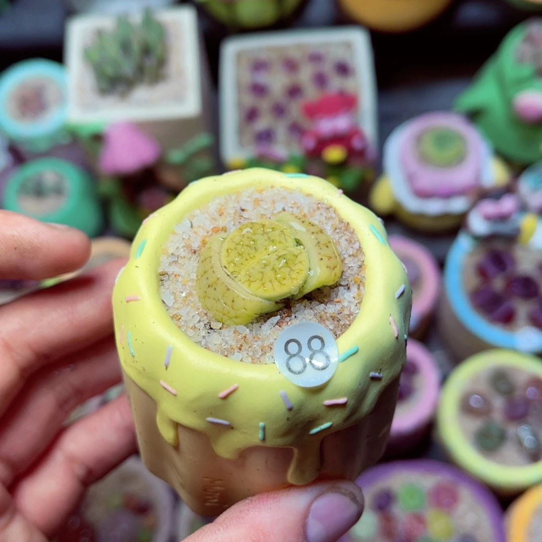 ?*幽11111111111111111