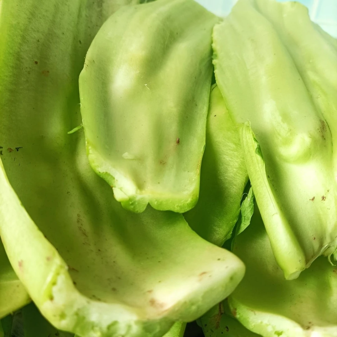 恩施新鲜种子青菜种子青菜蔬菜芥菜贵州土特产农家自种云南酸菜