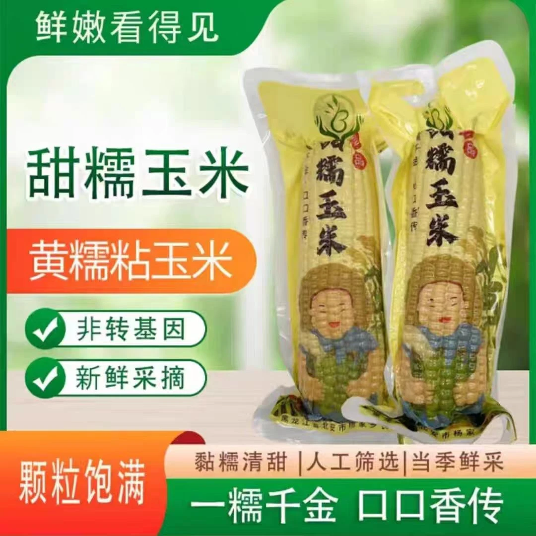 王云专属2025年当季新鲜东北真空包装即食软糯甜玉米早餐代餐粗粮