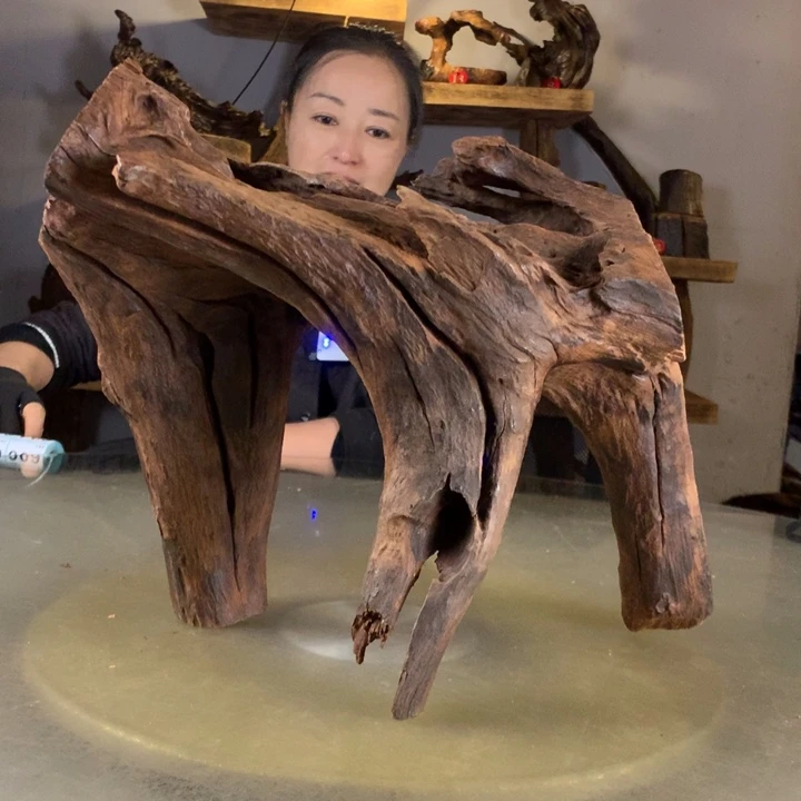 王***昊天然的云南紫柚木会黄水
