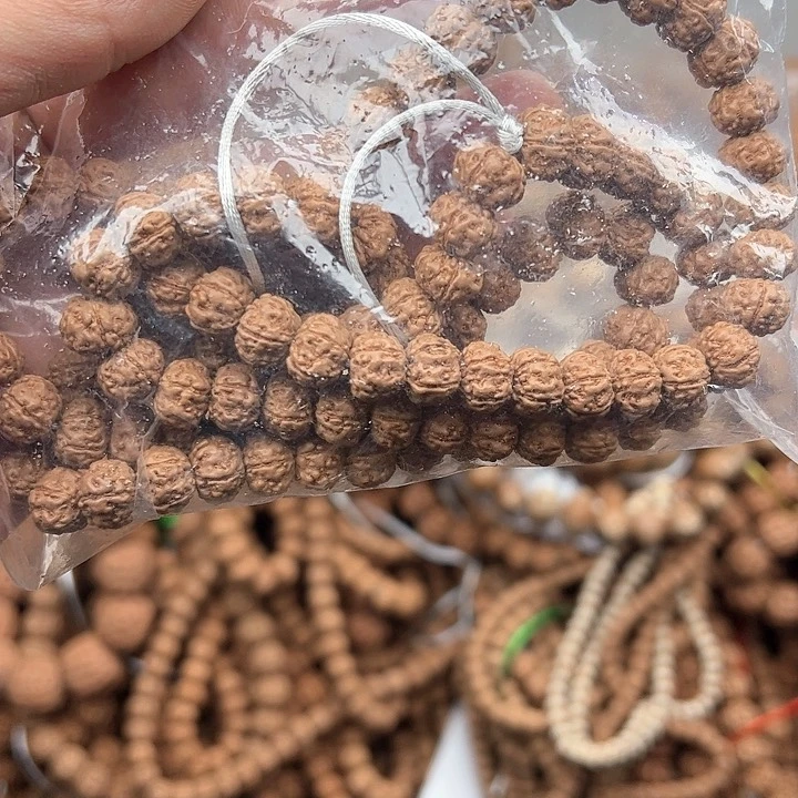 金刚菩提手串树王