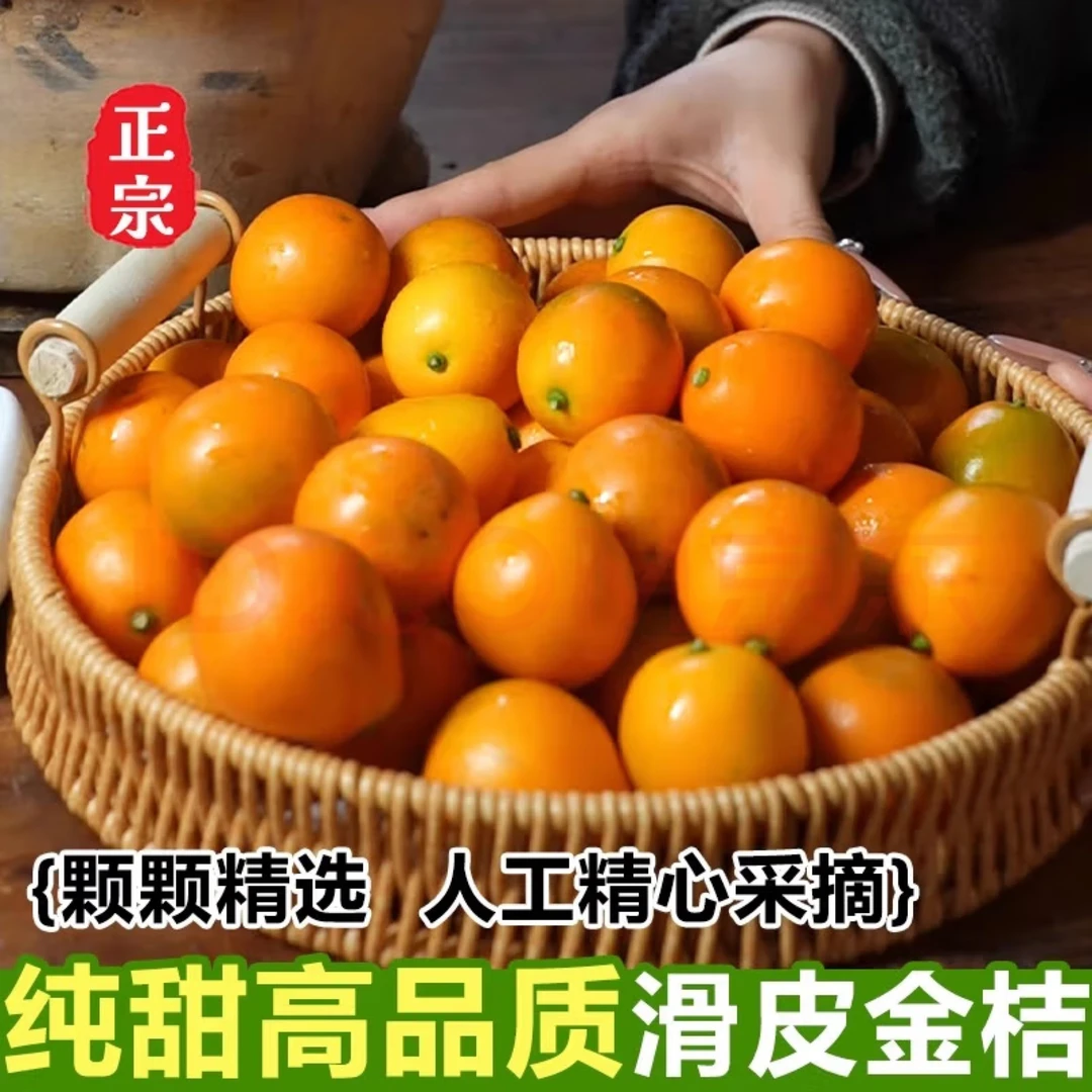 正宗广西融安滑皮金桔新鲜水果自家果园鲜果纯甜多汁冰糖心现货