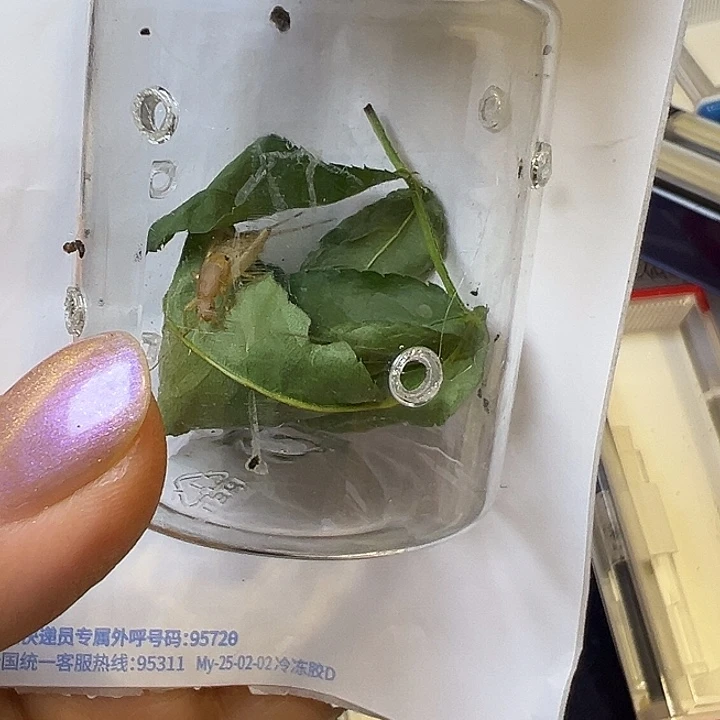 哈哈哈哈哈哈哈哈哈