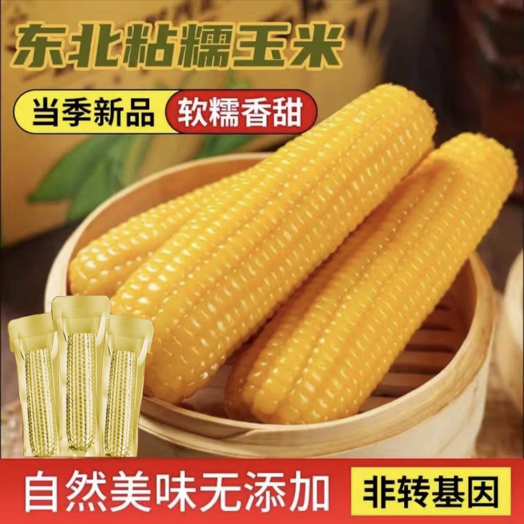 【25头茬糯九黄糯玉米】香糯甜真空包装一箱12根净重6斤半 试吃三根