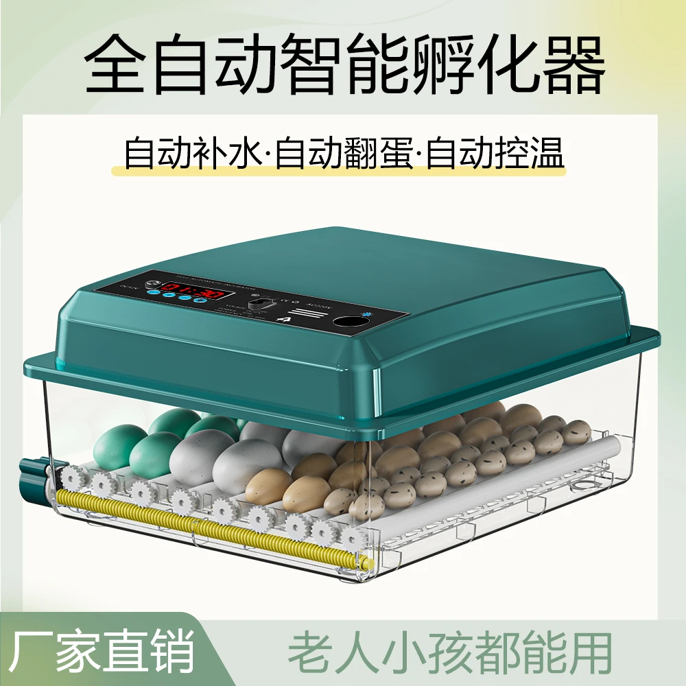 博实【高孵化率】家用全自动孵化器小型孵化机鸡孵蛋器芦丁鸡孵蛋机