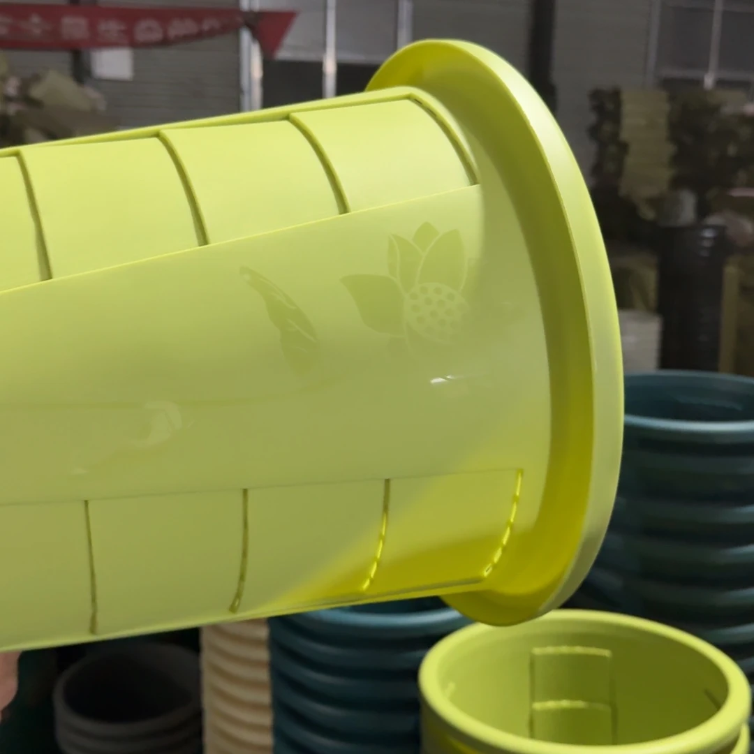 测孔六号五个果绿