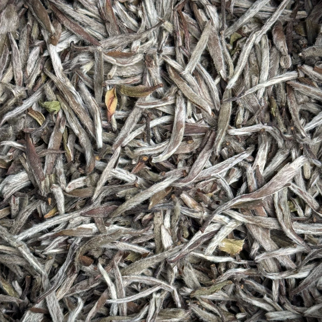 【小吴自营】2015年特级九龙大白银针50g/袋（拆封后不支持退货）