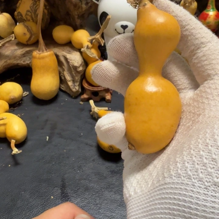 明***好66666666666666766