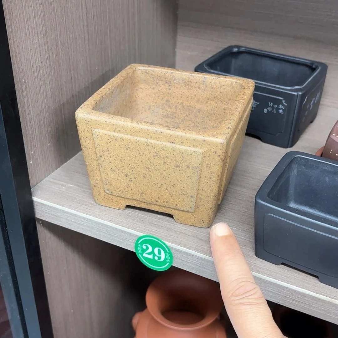 紫砂花盆紫砂的花开了吗