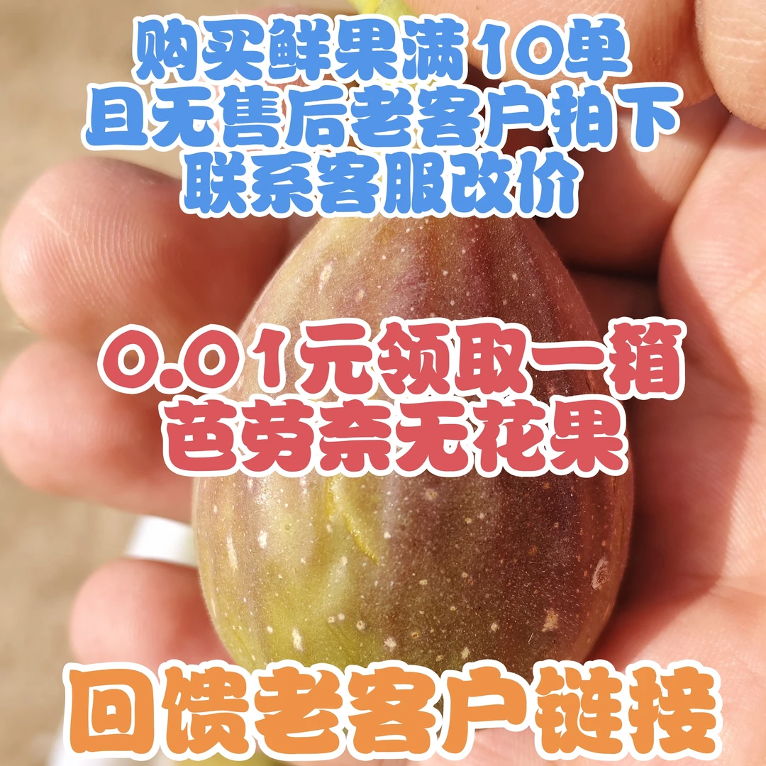 鄌郚家豪®芭劳奈无花果(回馈老客户专用链接)