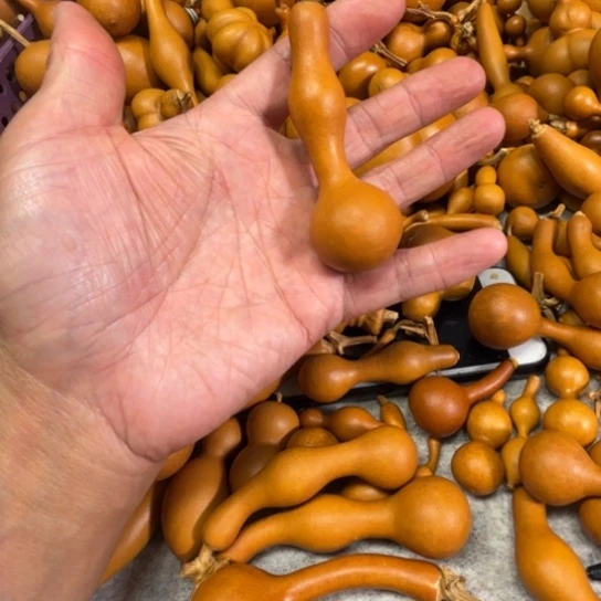 贩***马贩卖了小牛的一把杆子，葫芦把杆子