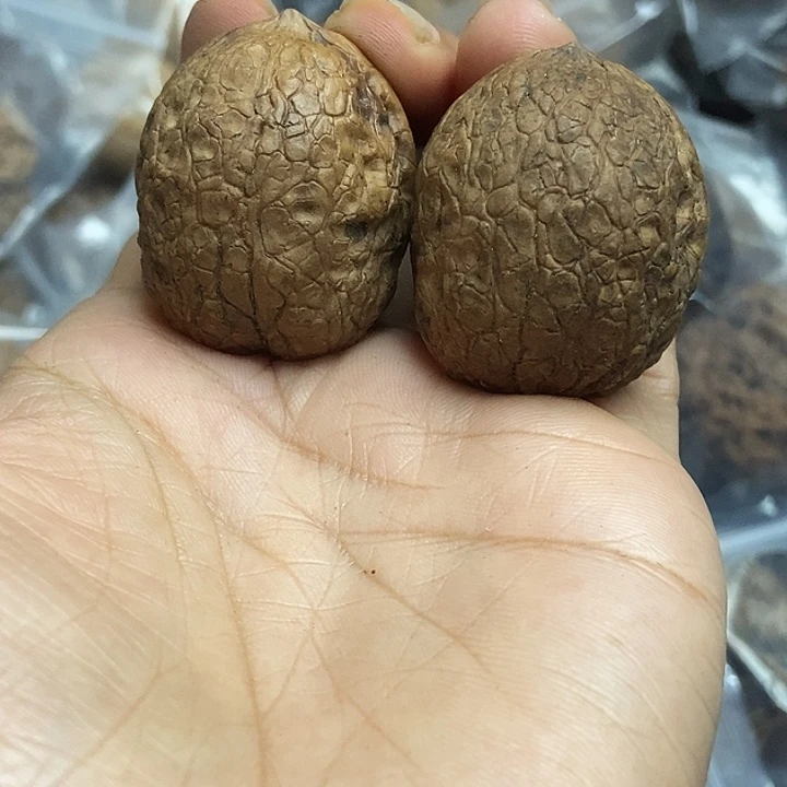 文玩核桃把件云南铁核桃基地41