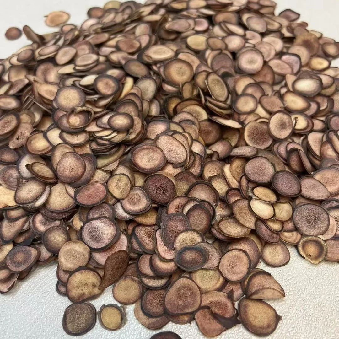 深山鹿茸片 净重20克