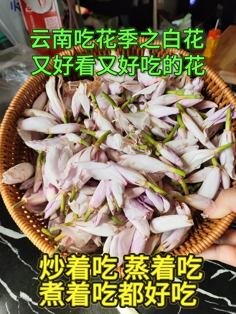 云南舌尖上的春天大山里的大白花鲜花美食