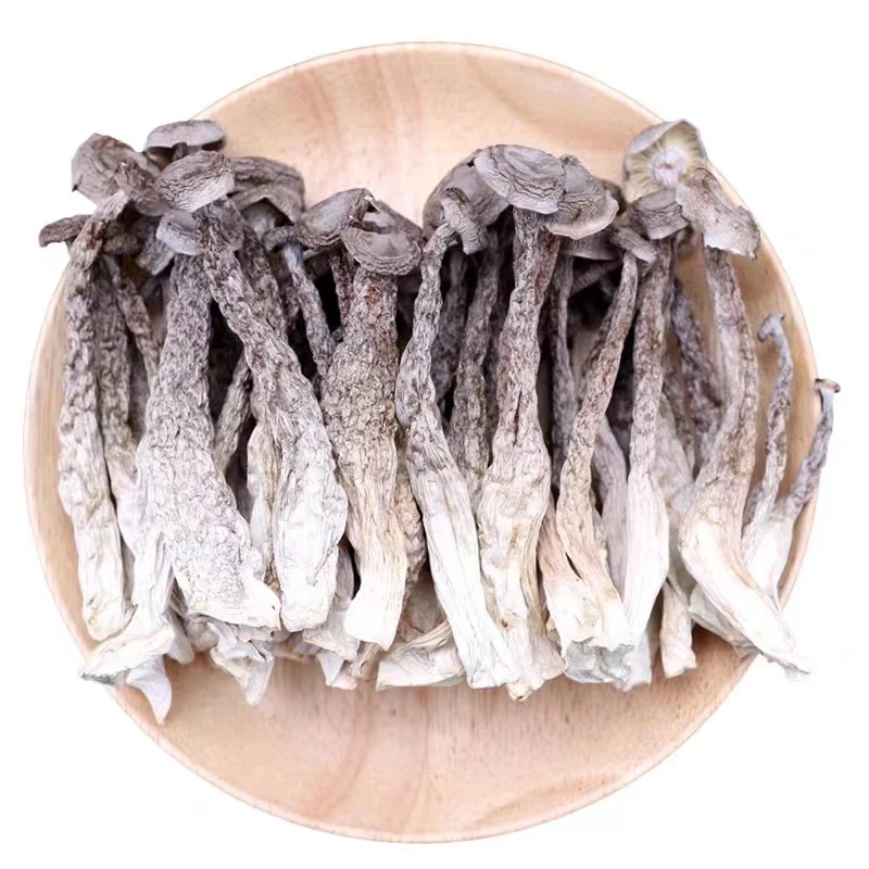 鹿茸菇脆脆菇  新鲜香脆 250克/500克