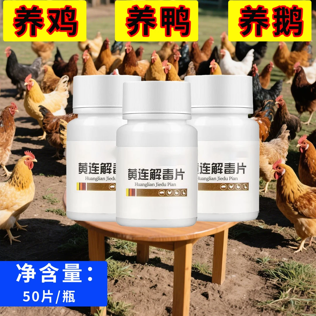 黄连套装鸡鸭鹅专用家禽常备中秋佳节老字号高端品质工厂直发