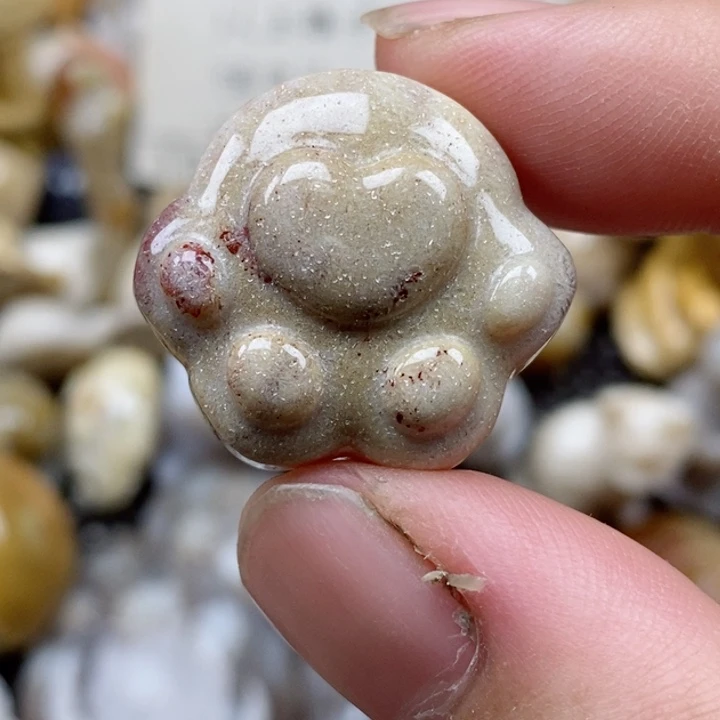 颈饰未镶嵌硅化珊瑚（珊瑚玉）小