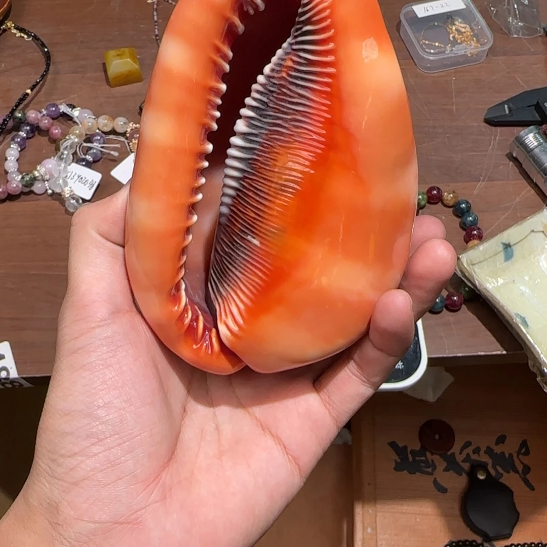 陶瓷孤品单件车里拍