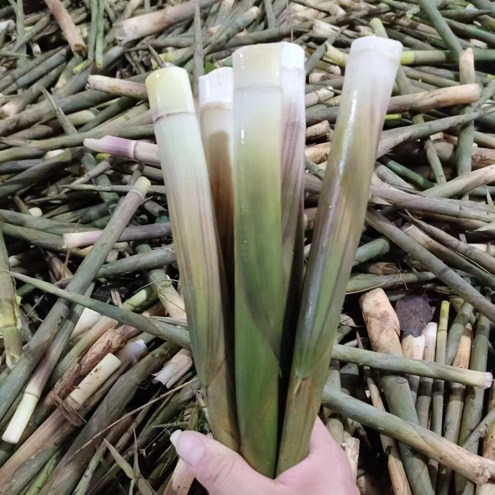 恩施高山特产（④斤带壳）新鲜小竹笋水竹笋春笋