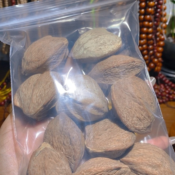 野生金蝉橄榄核把件10颗