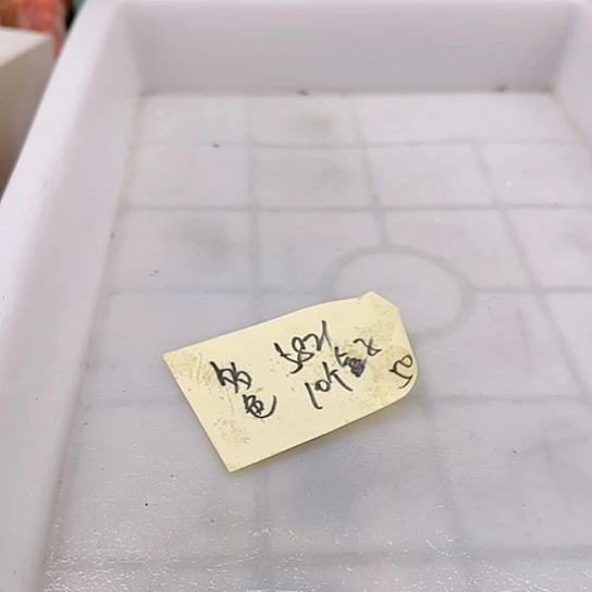 青田石用****4111111111111111