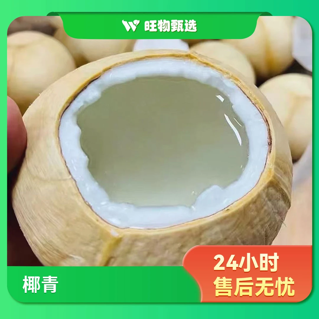 【旺物甄选】进口水果·泰国A级椰皇1个装600g左右(±50)