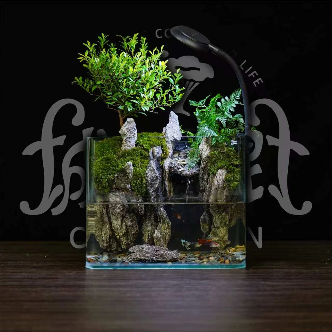 【高山流水】新品-小叶赤楠微景观绿植桌面植物-缸体25*16*19