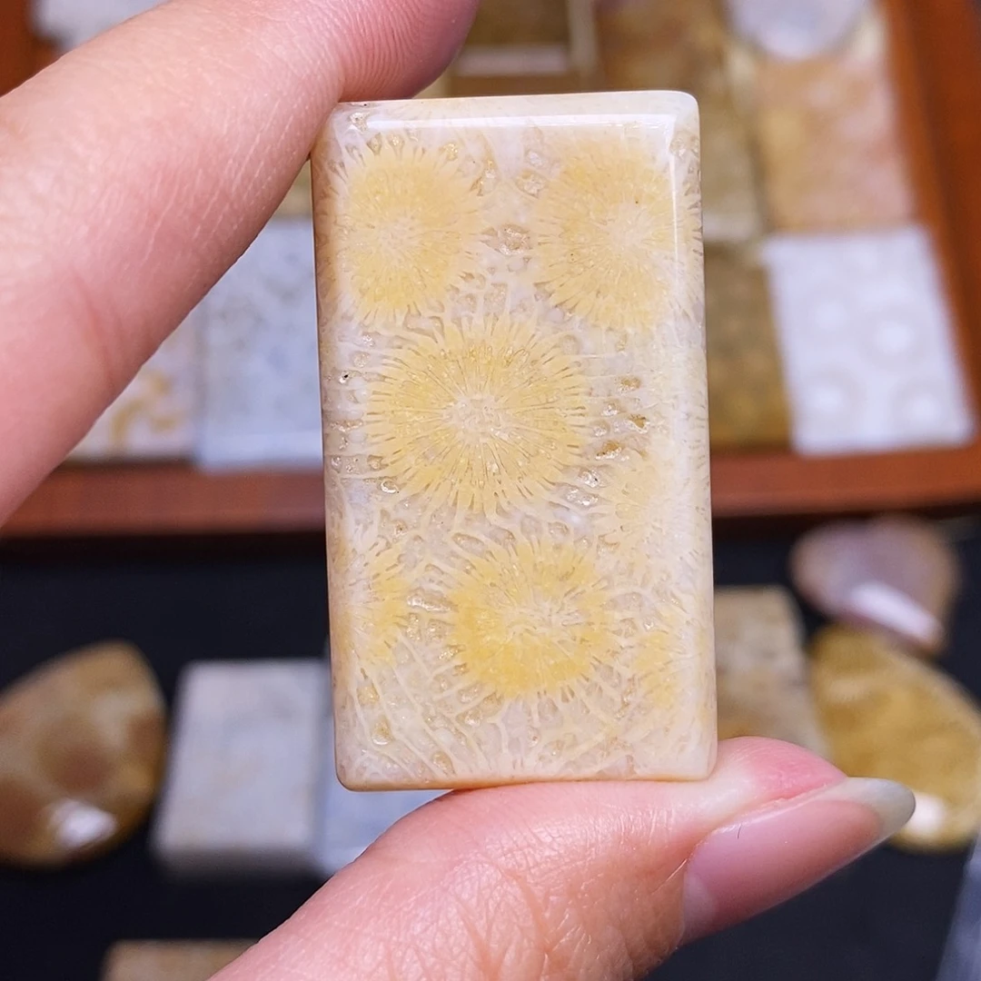 硅化玉珠宝奇石合金ʚ****ɞ