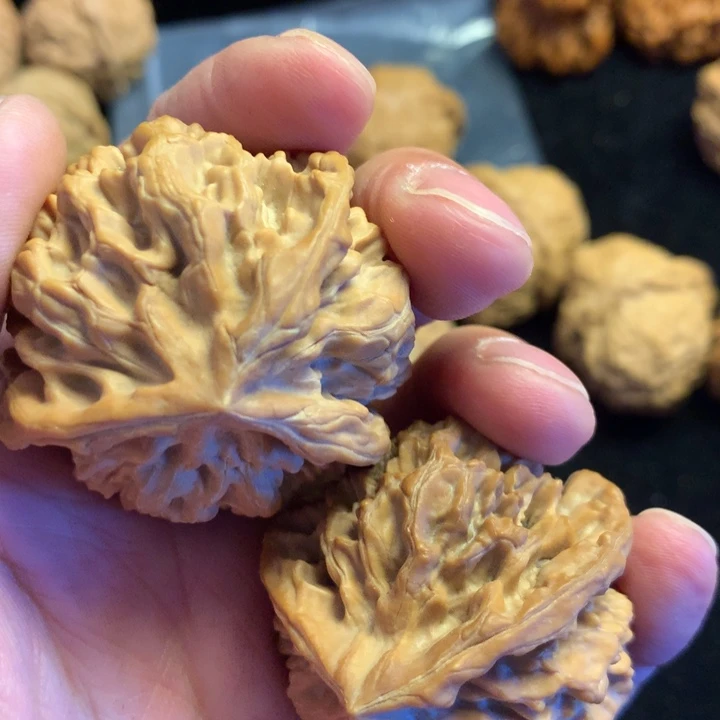 君***生1111111111111111