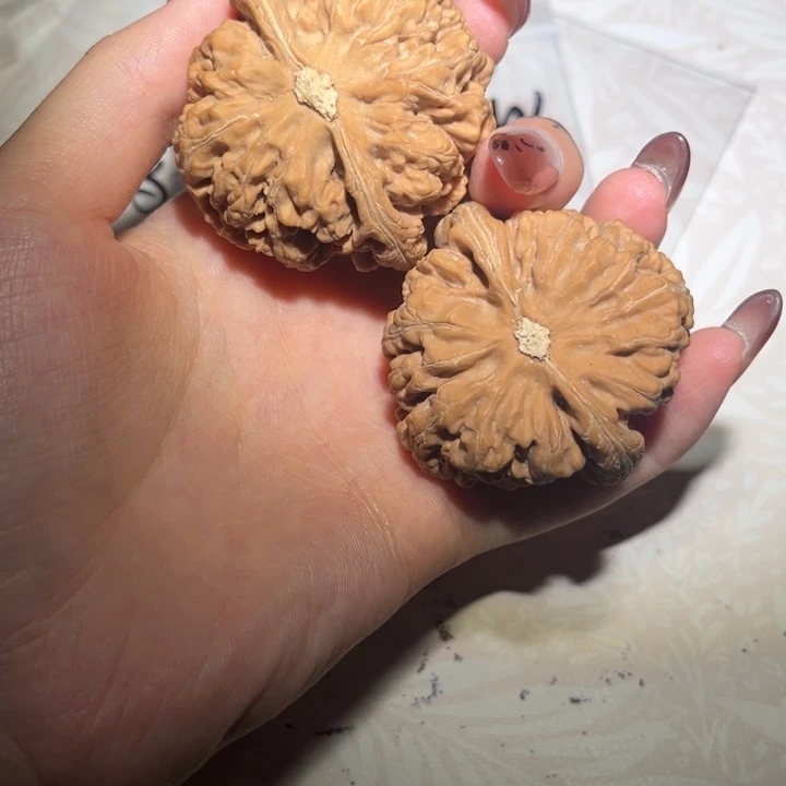 高***庄把件核桃45大粗筋全品