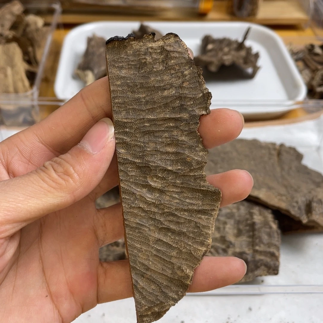 沉香沉香碎屑海南天然老头料5.7克