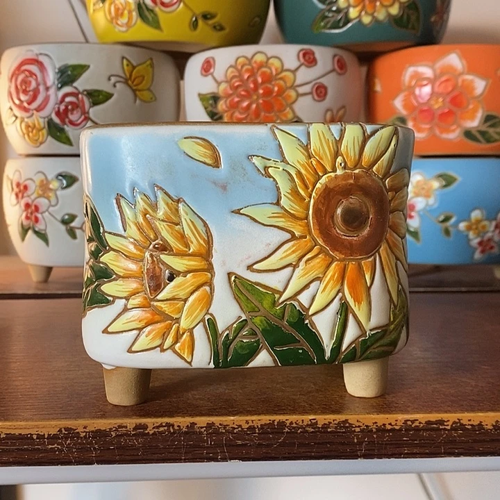 韩式多肉植物花盆