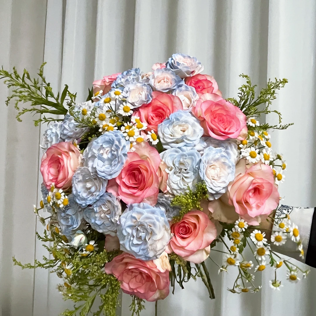 爱莎碎冰蓝折射洋甘菊黄莺云南基地直发家用新鲜水养顺丰包邮