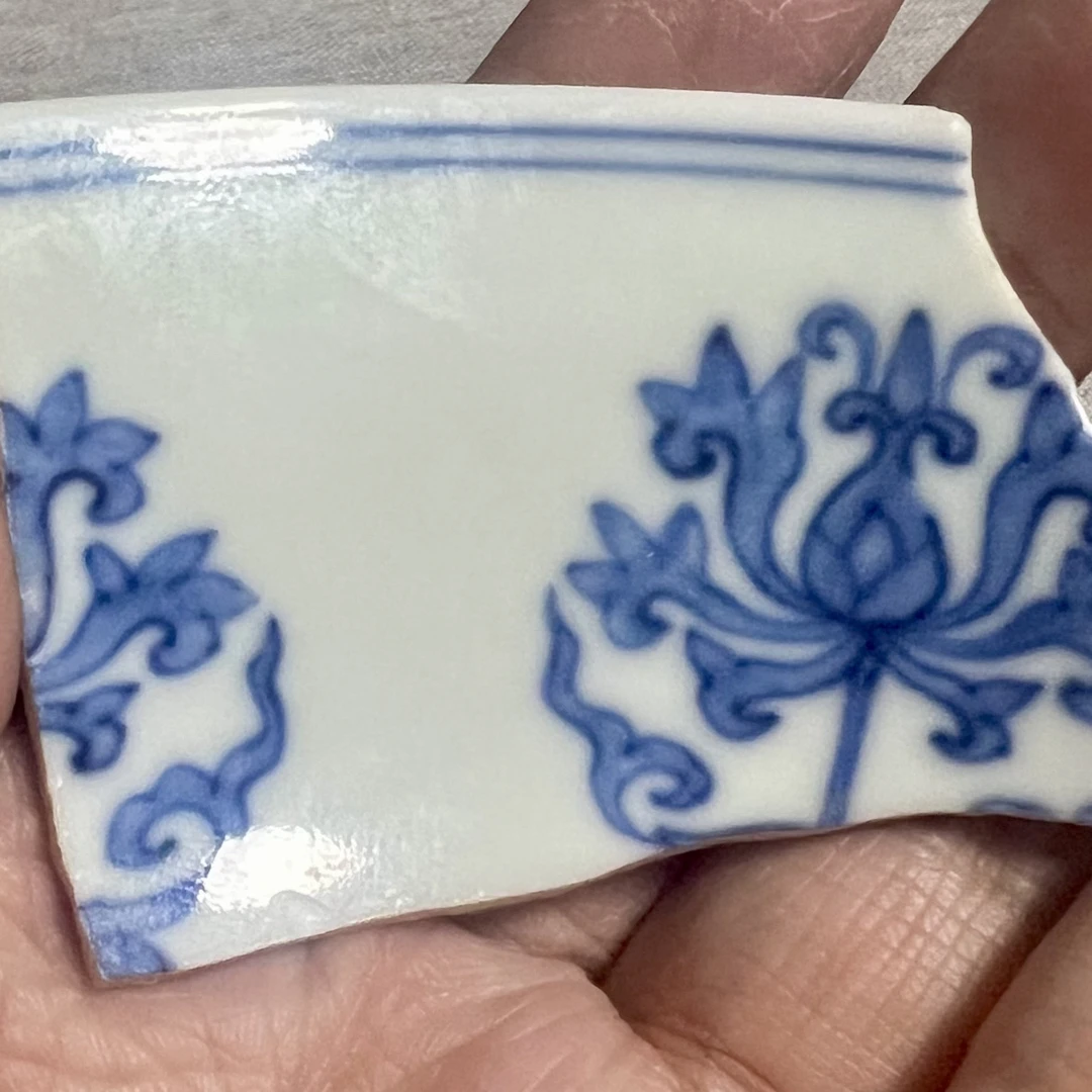 成化官窑瓷片标本