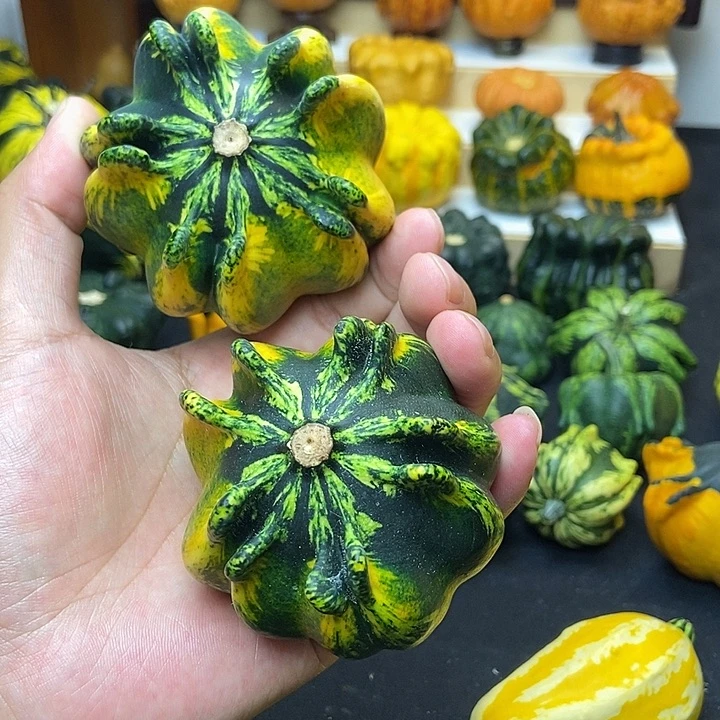 6***天福利福利福利福利