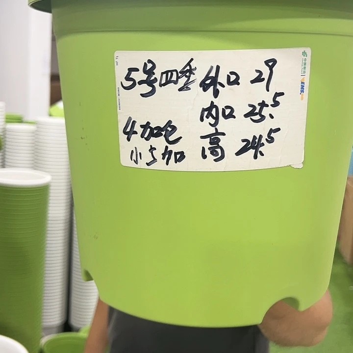 特价5号四季口29高24白色6个无托