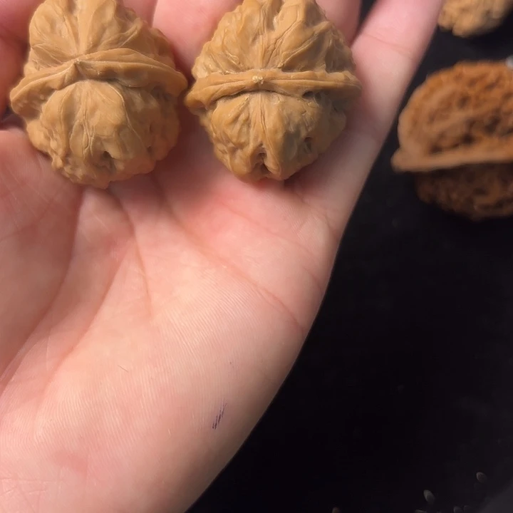 大叶紫檀（黑酸枝木类）