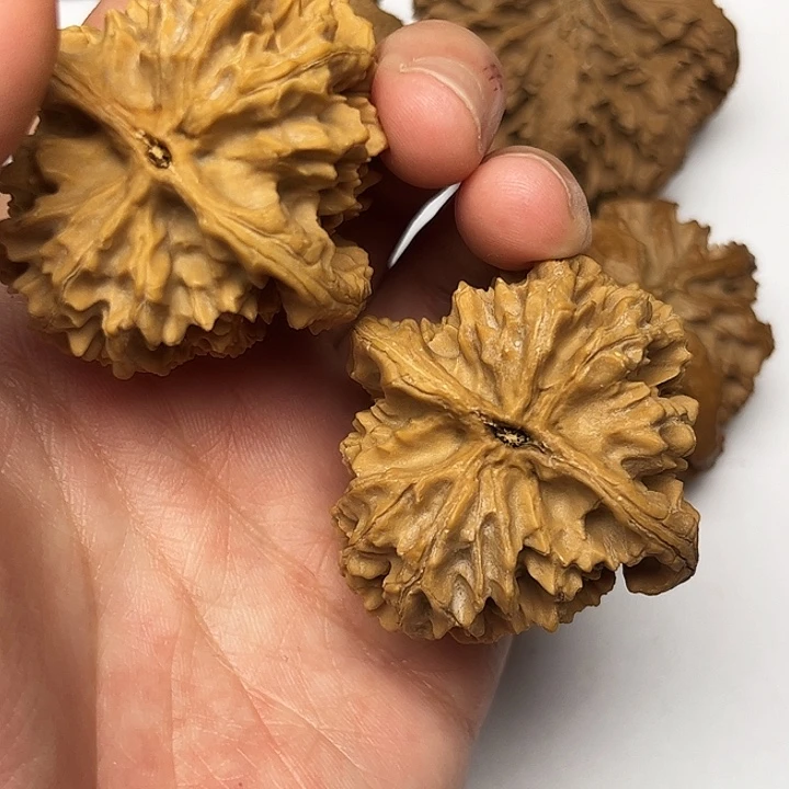 秦岭文玩核桃核桃