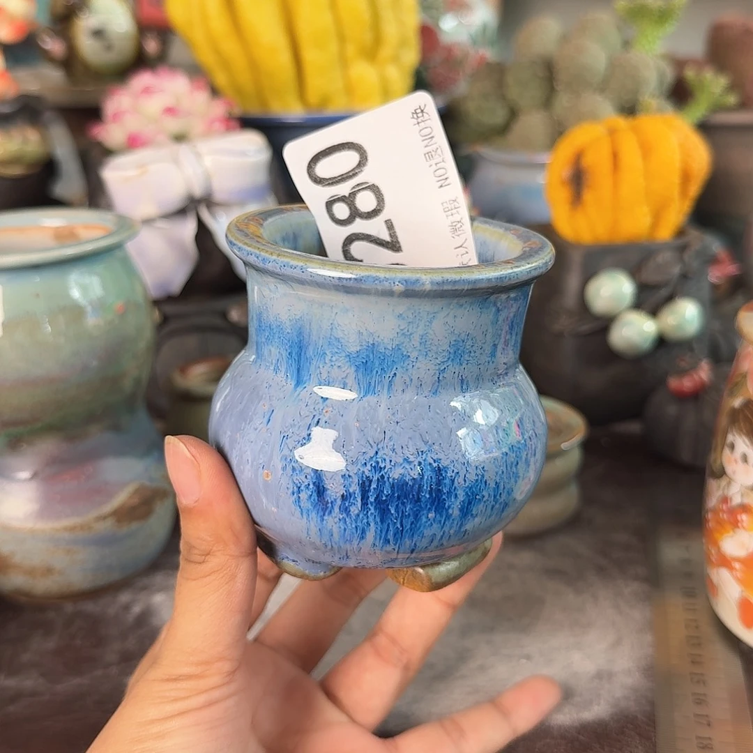 重庆小燕子欢迎大家280