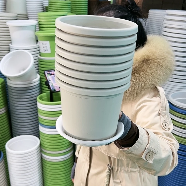 特价2号四季口17.3高14.7米色带托10只