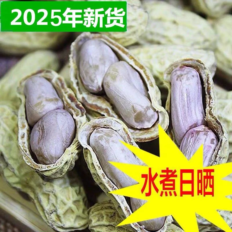【水煮花生】福建特产闽南农家新鲜天然日晒白玉咸干果花生粒粒饱满