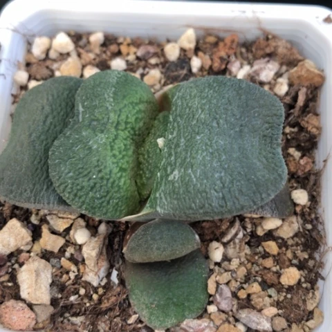 赵*?军配蜗牛蜗牛蜗牛