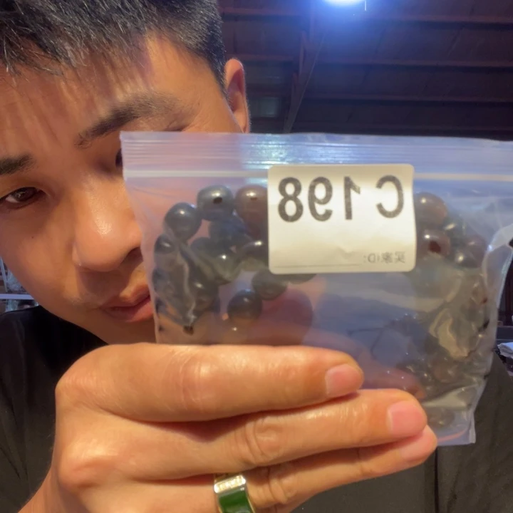 大叶紫檀（黑酸枝木类）198