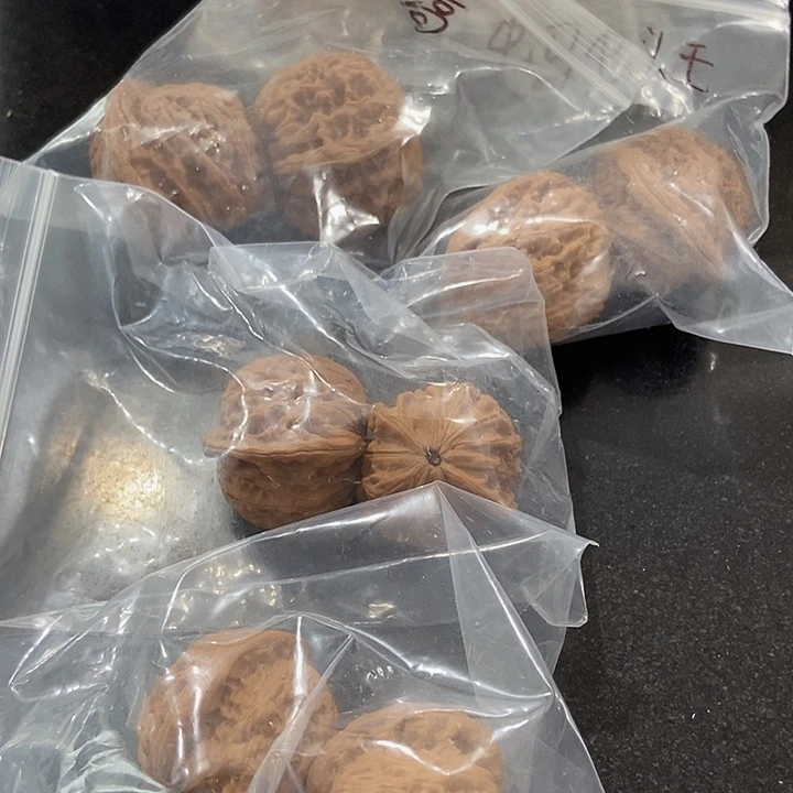 吊坠文玩核桃一单5对17