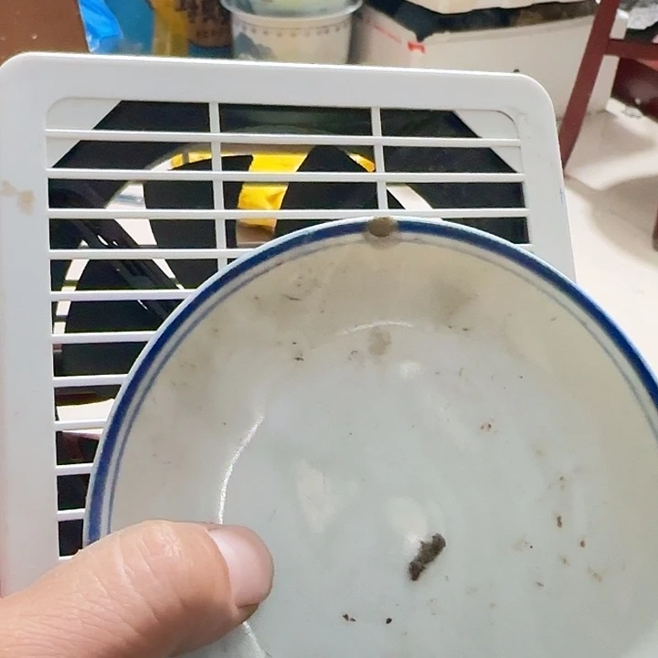 橄榄核其他用****8Fgfgfgfgfgfgfgc