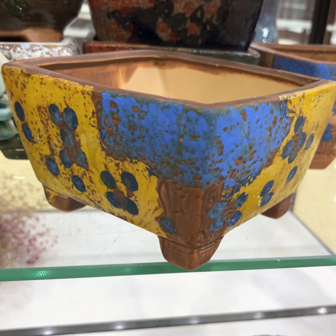 红陶福利福利福利福利