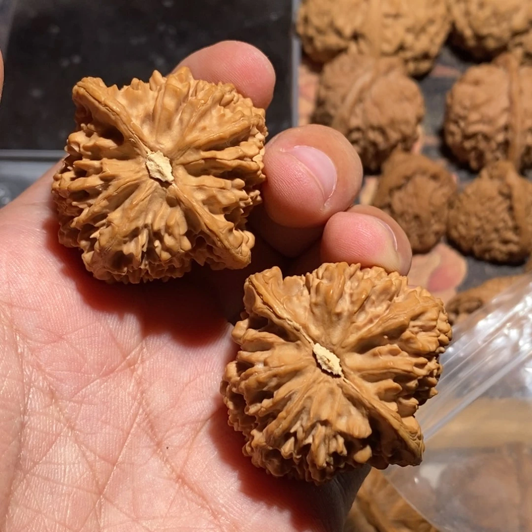 文玩核桃把件冰*41全品满天星