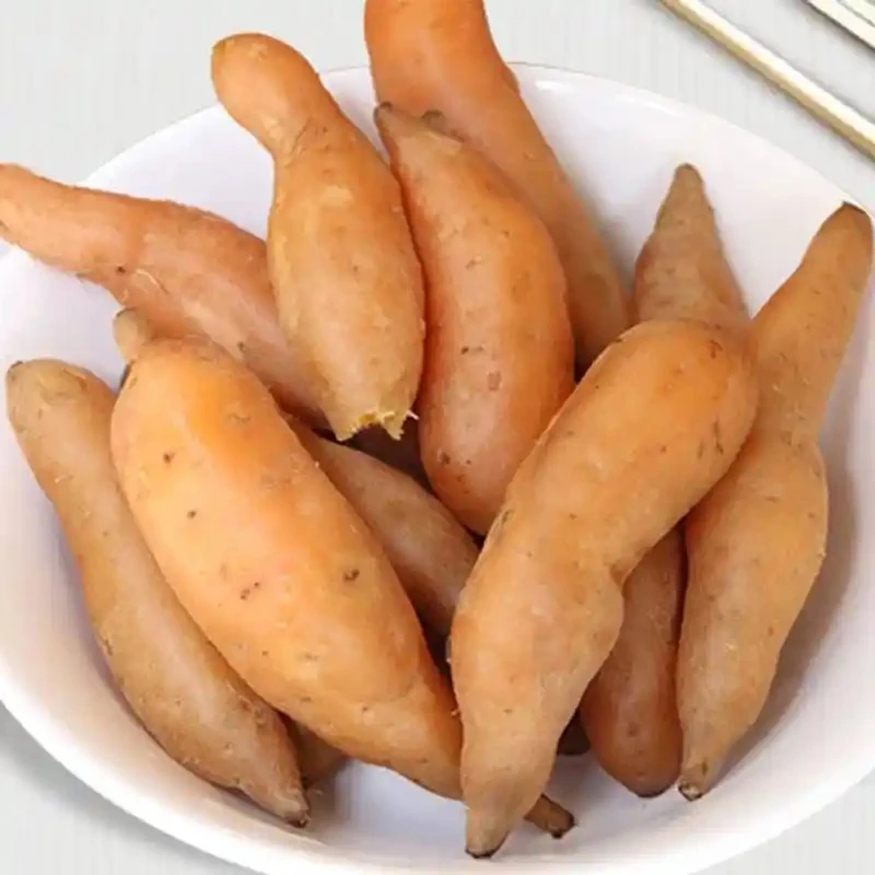 贵州红心红薯新鲜现挖现发软糯香甜小香薯原产地现挖现发农户自种